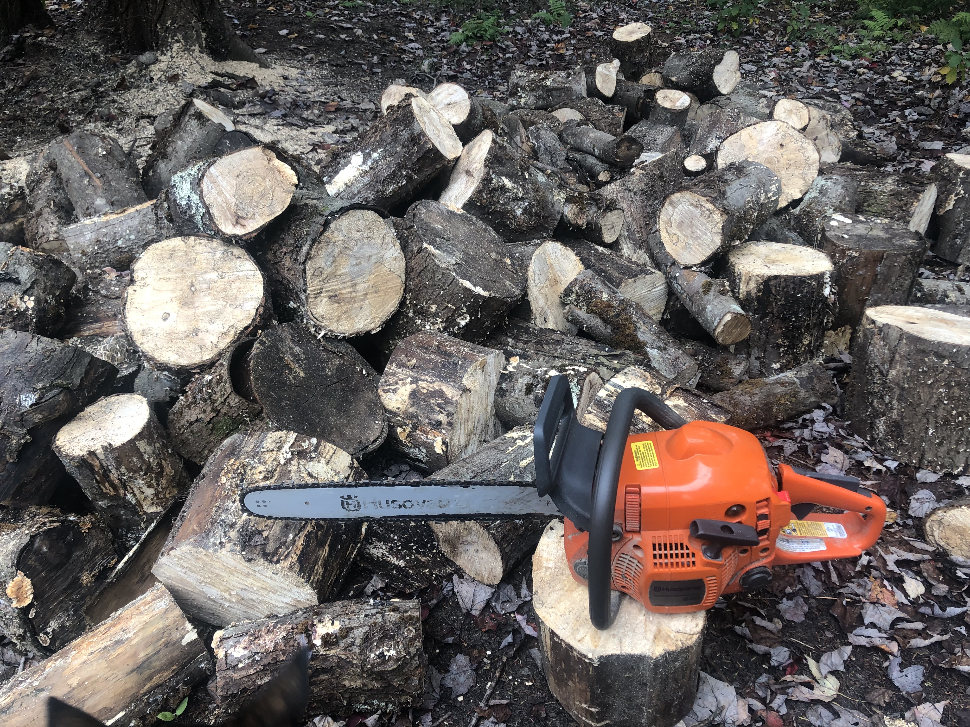 Chainsaw Confidence: Tips for Women on Buying, Using, and Maintaining Chainsaws