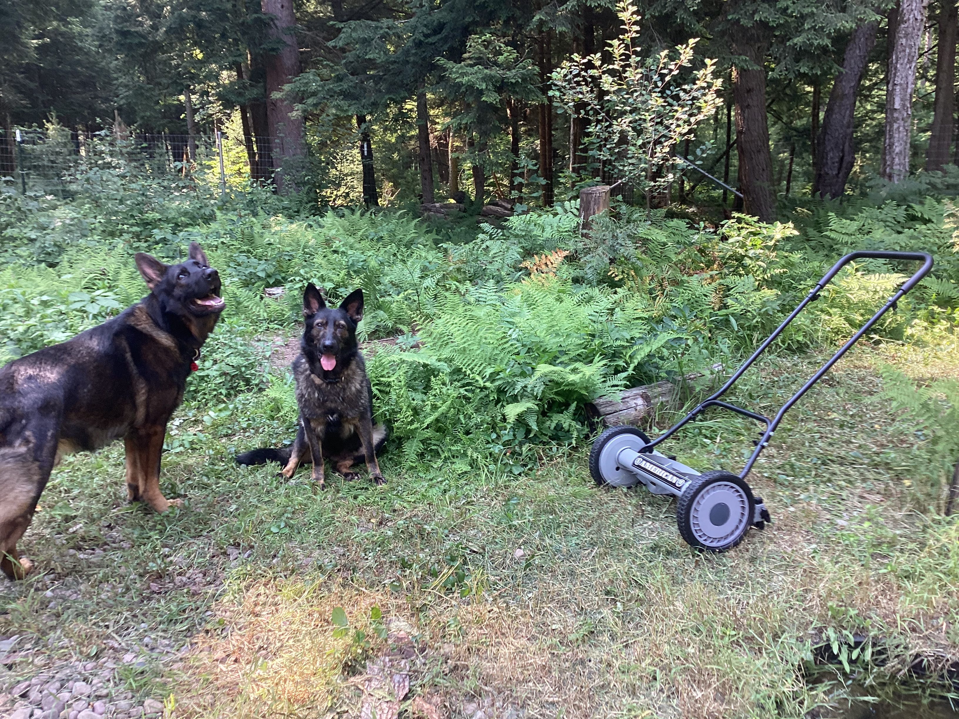 Summer Eco-Prepping Includes a New Manual Push Mower