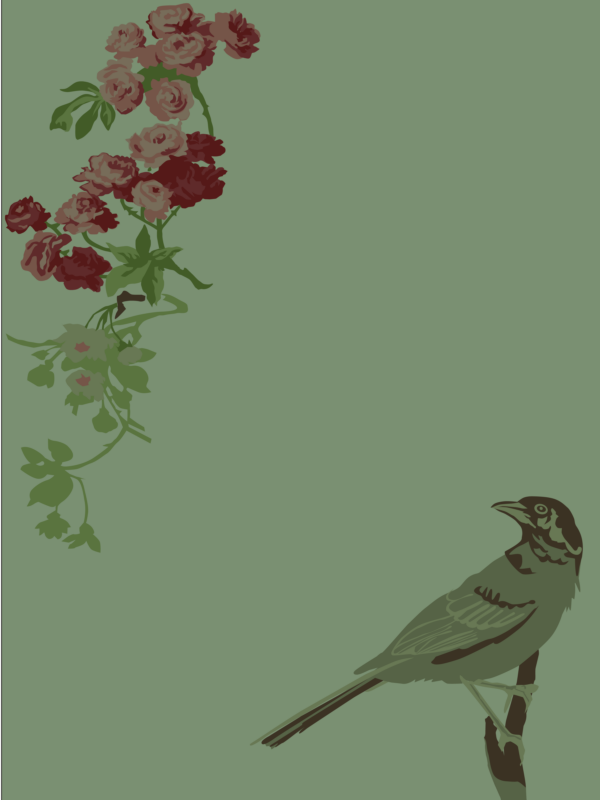 Wren Portrait - Image 2