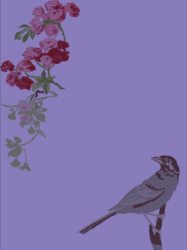 Wren Portrait - Image 6