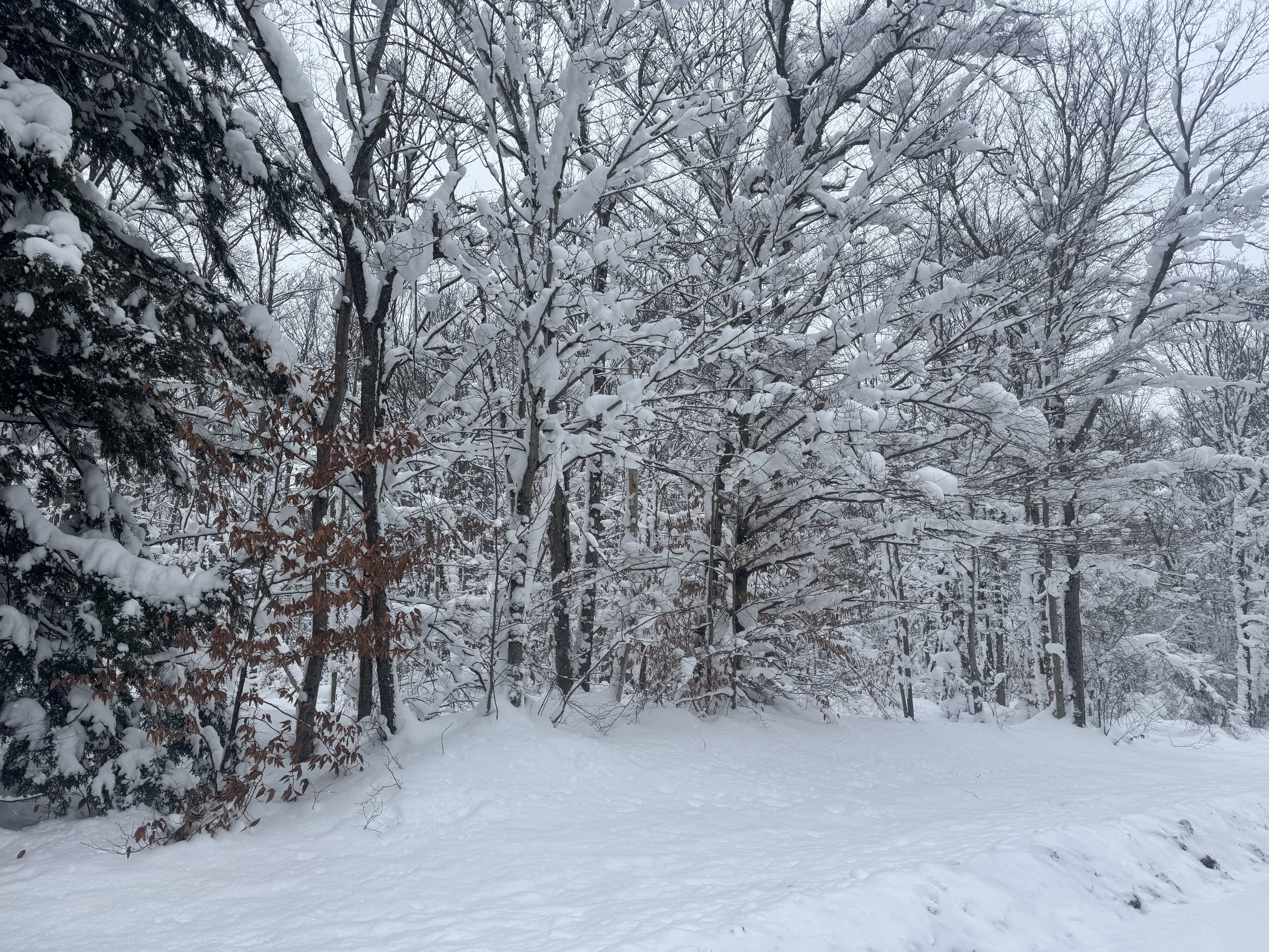 Surviving Winter 2025 Off-Grid