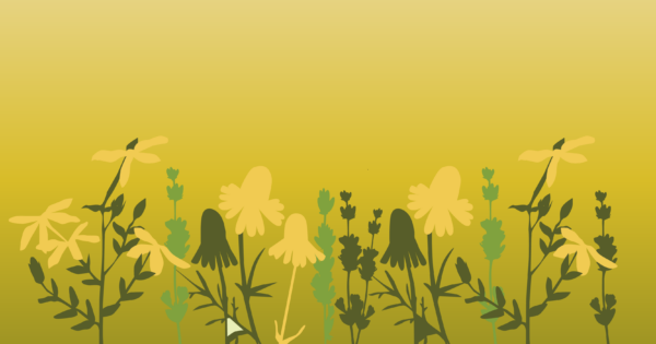 Flower Silhouette FB - Image 7
